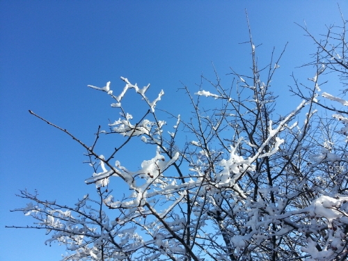 한라산 겨울 산행..